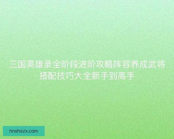 三国英雄录全阶段进阶攻略阵容养成武将搭配技巧大全新手到高手