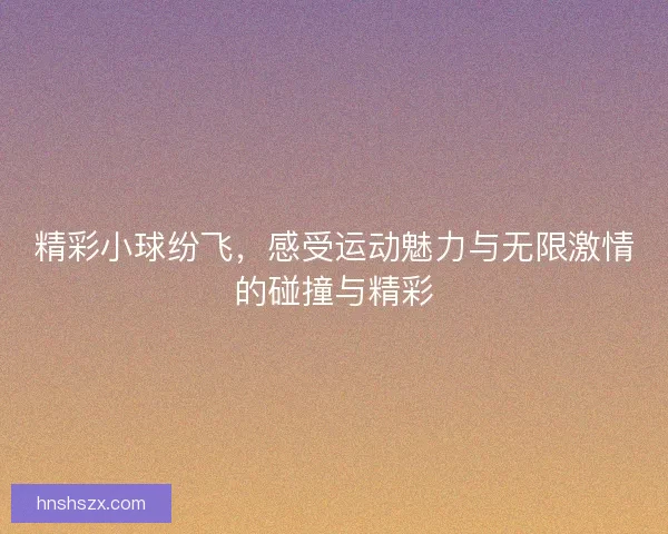 精彩小球纷飞，感受运动魅力与无限激情的碰撞与精彩